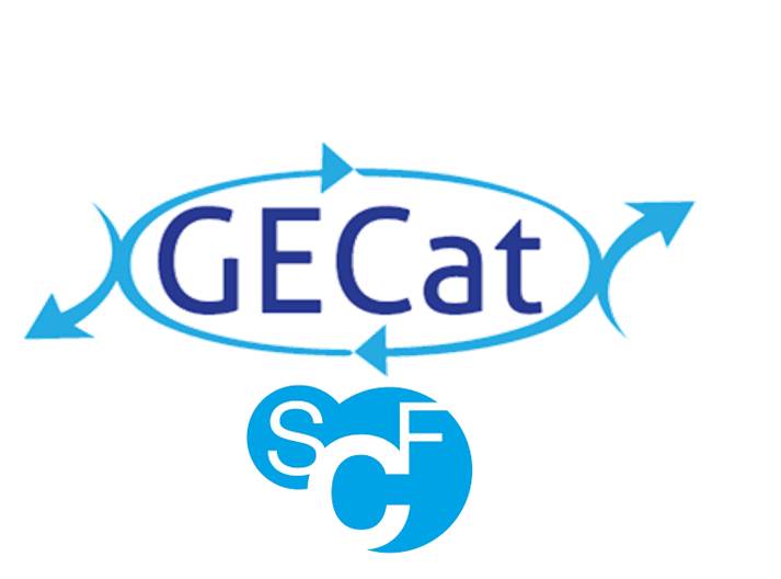 logo_GECAT_1.jpeg